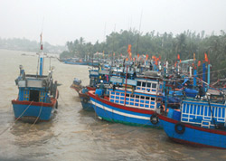 Việt Nam yêu cầu Trung Quốc thả ngay ngư dân bị bắt