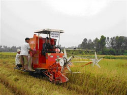 FAO sẽ tiếp tục hỗ trợ Việt Nam phát triển nông thôn