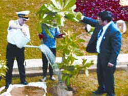 Đặt đá chủ quyền, trồng cây bàng quả vuông Trường Sa tại Lâm Đồng